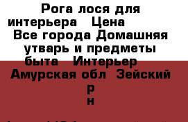 Рога лося для интерьера › Цена ­ 3 300 - Все города Домашняя утварь и предметы быта » Интерьер   . Амурская обл.,Зейский р-н